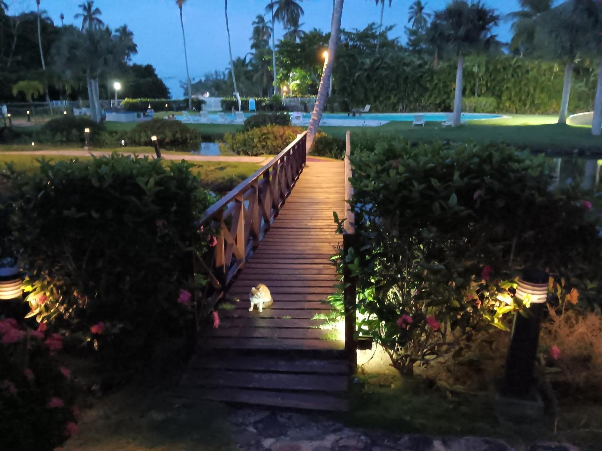 Beachfront 2br With Pool & Terrace In Terrenas Apartment