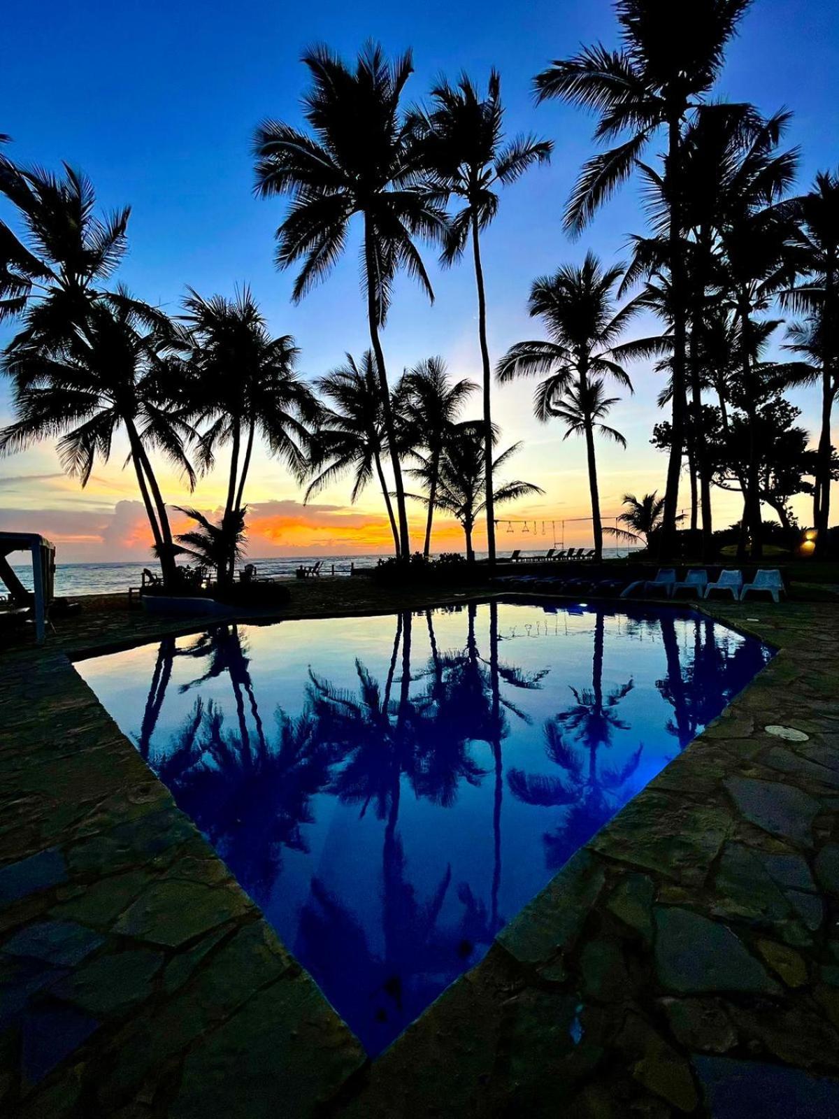 Kite Oceanfront 1st Row Two Bedrooms And Patio Apartment