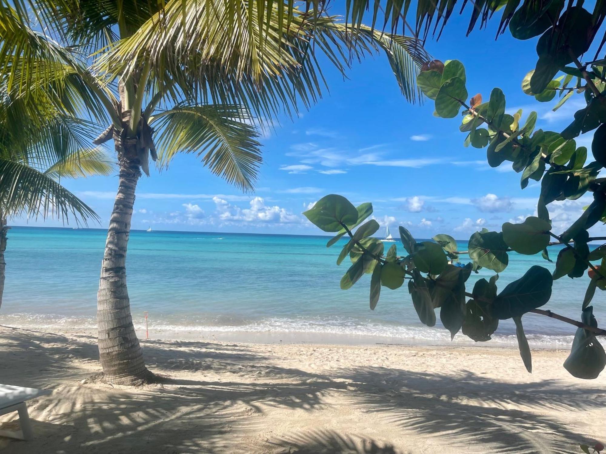 Luna Bed & Breakfast Bayahibe
