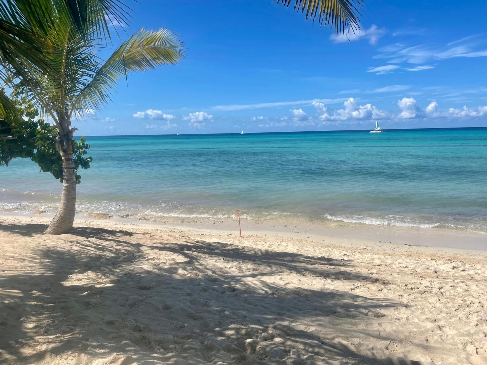 Bed & Breakfast Luna Bayahibe
