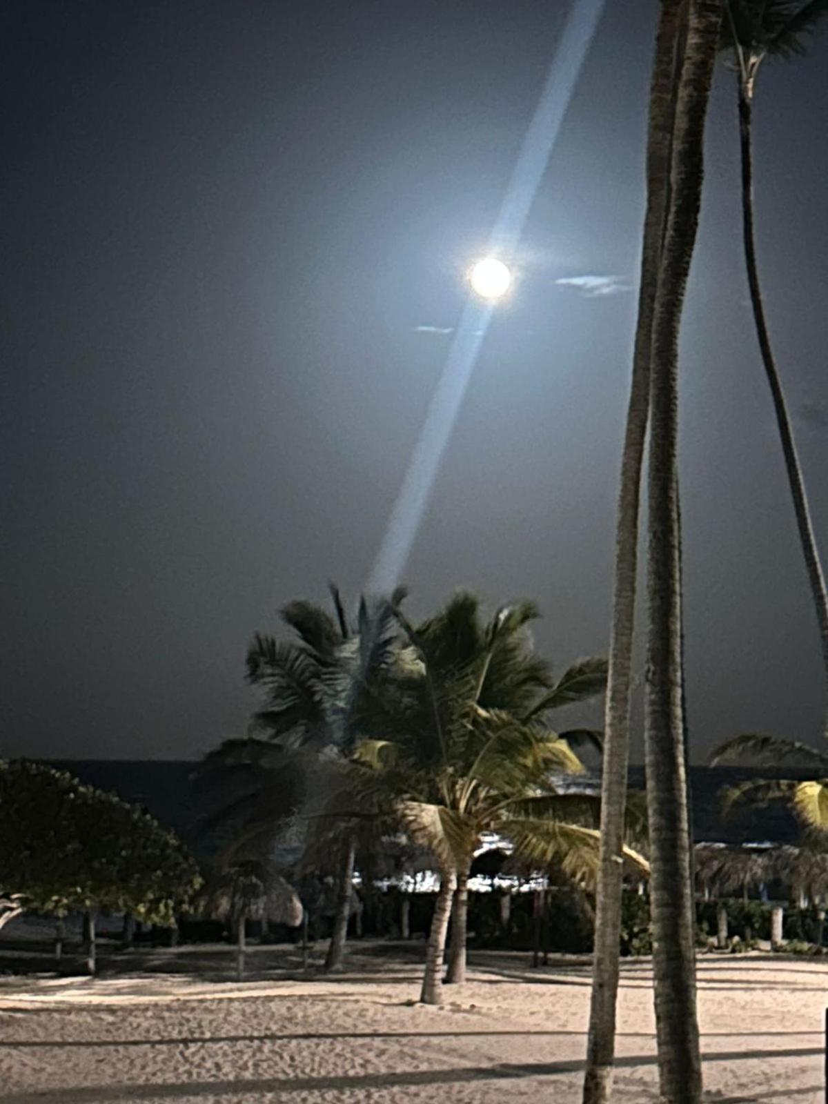 Stanza Mare: Beachfront Bavaro With Private Apartment *