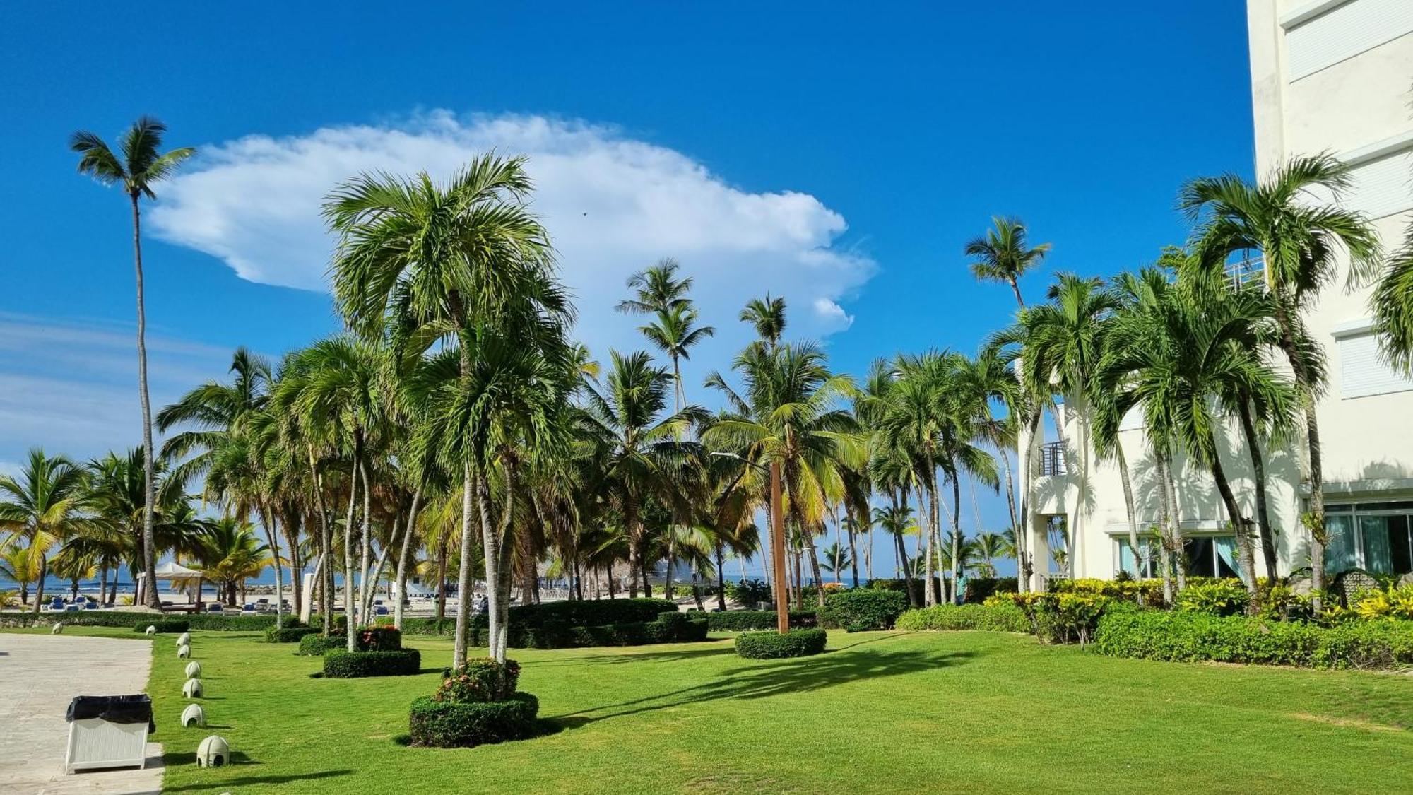 Apartment Your Little Paradise - *