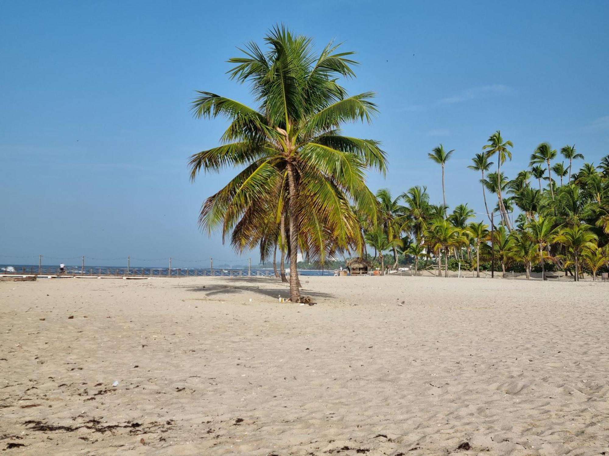 Your Little Paradise - * Juan Dolio
