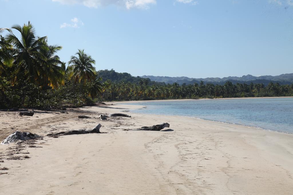 Chaykovski Boutique H Hotel Las Terrenas