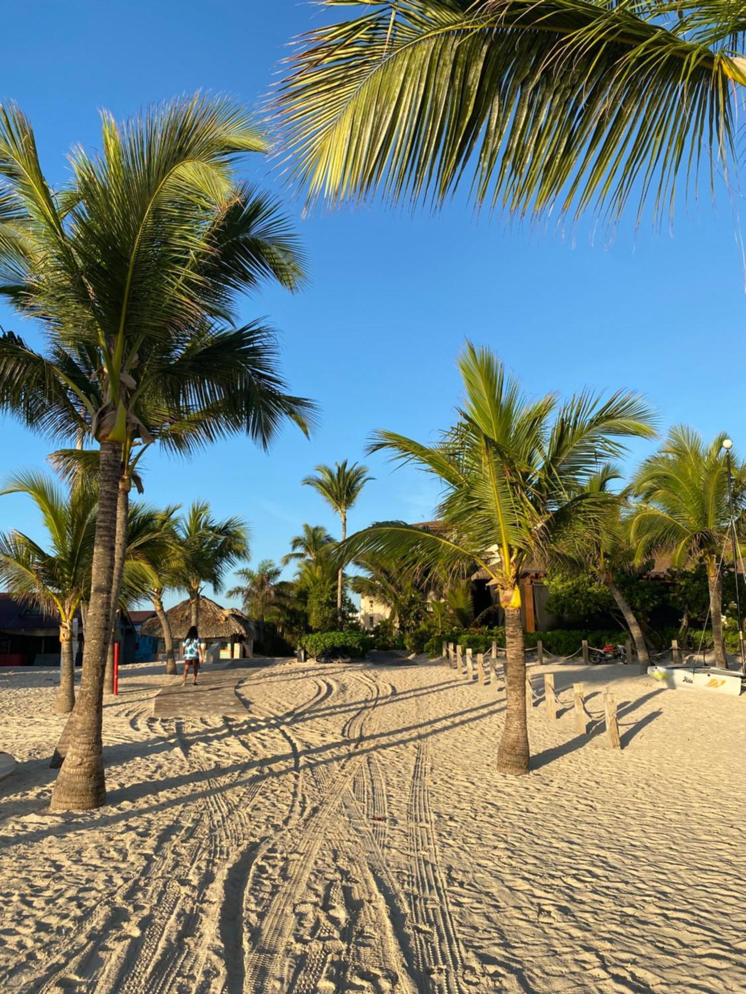 Paradise Close To The Pool Free Parking,wifi- Apartment