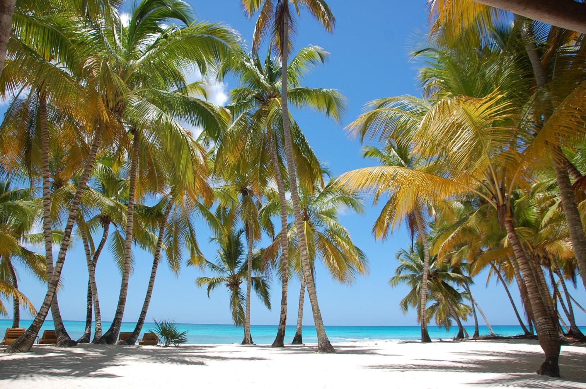 Luna Bed & Breakfast Bayahibe