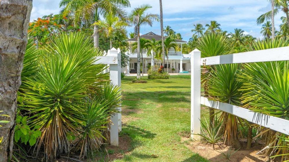 Azulsalado - Frente A La Playa Las Terrenas