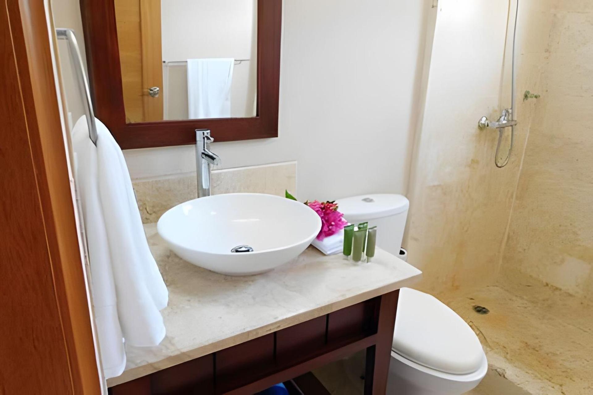 Apartment Spectacular Penthouse Ocean Views. Playa Bavaro.