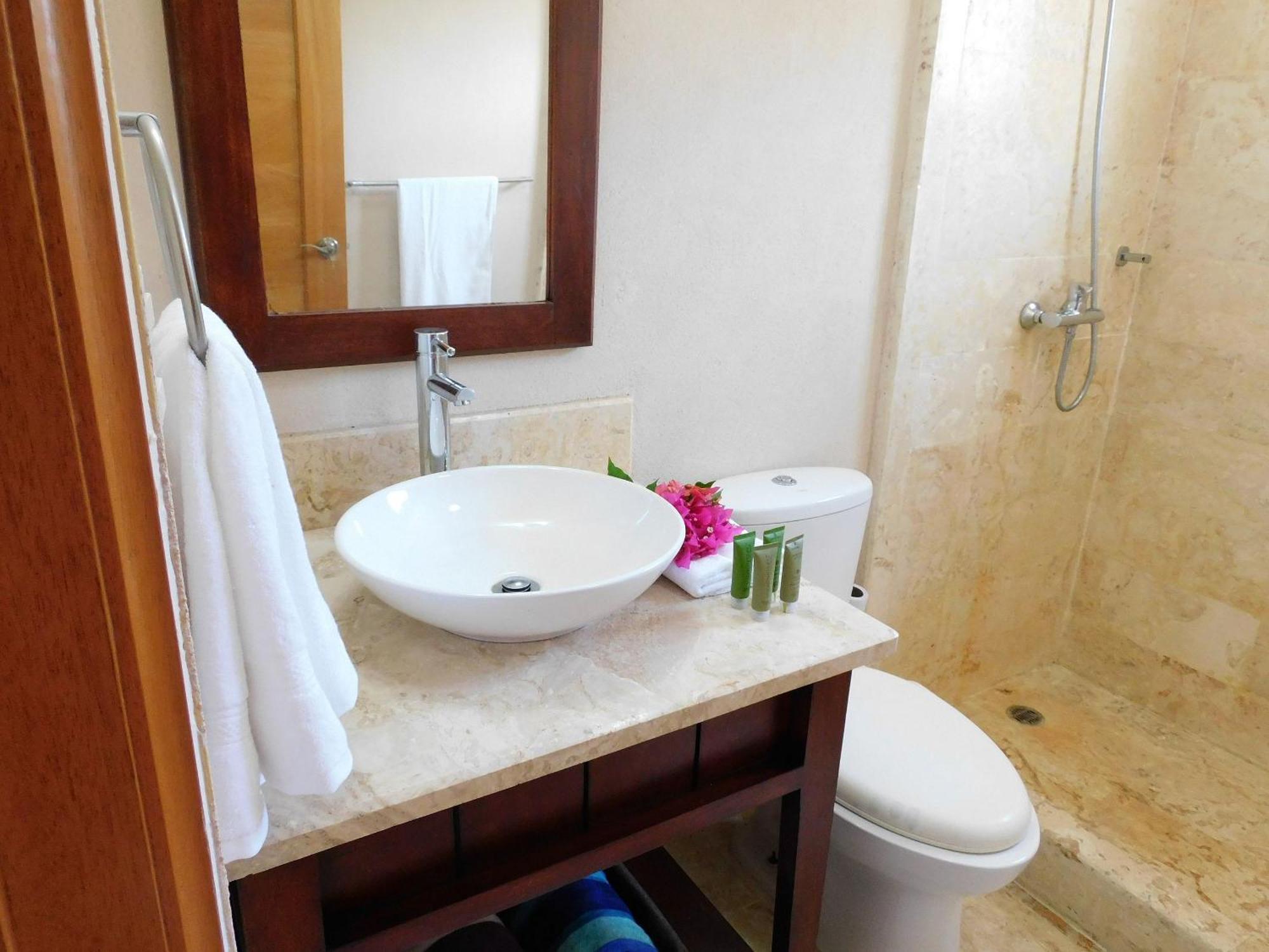 Apartment Spectacular Penthouse Ocean Views. Playa Bavaro. *