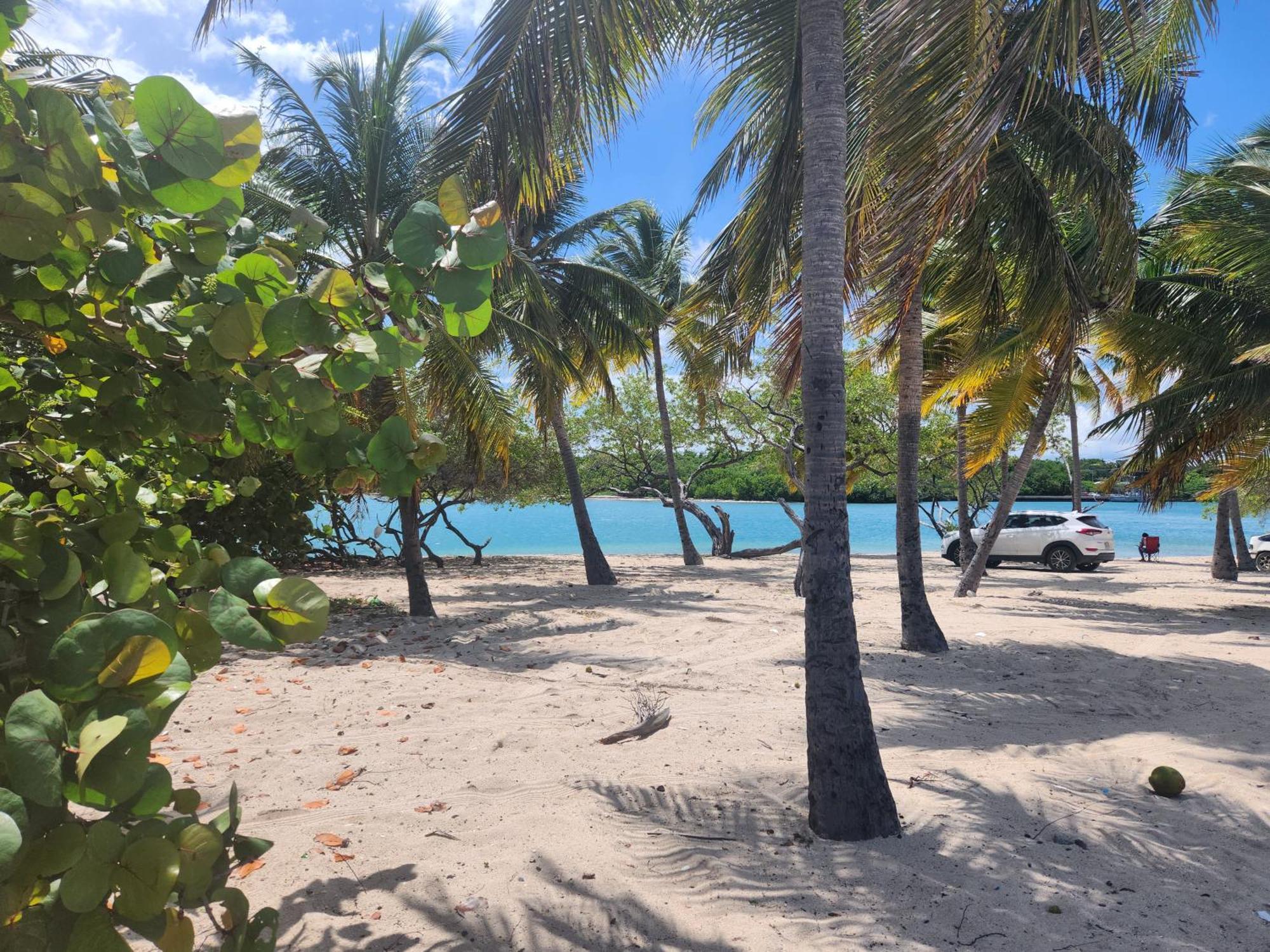 Casita Linda Larimar - 2Br Apartment With Rooftop, Bay Views, Fast Wifi, Near Beach In Barahona Apartment *