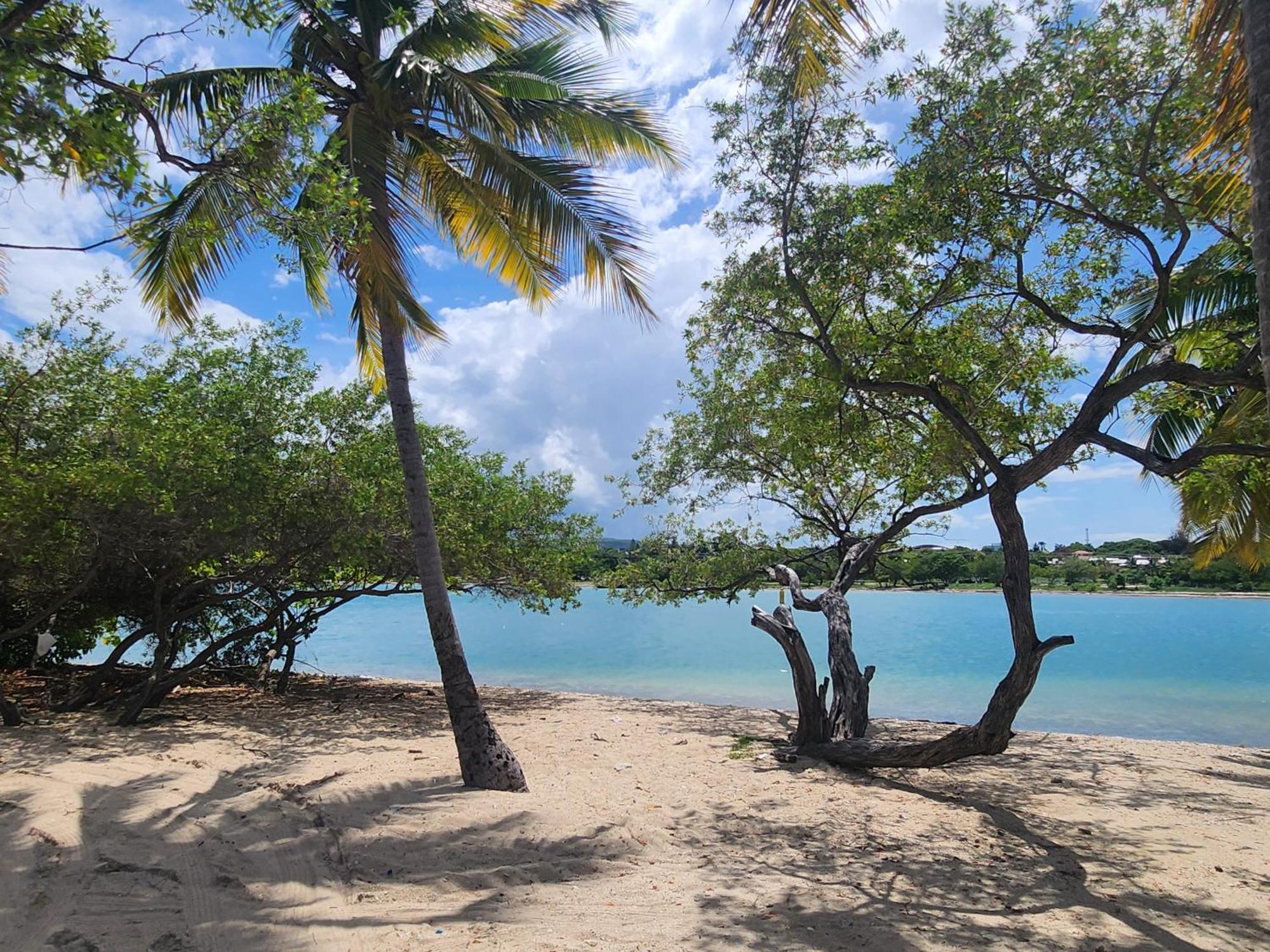Casita Linda Larimar - 2Br Apartment With Rooftop, Bay Views, Fast Wifi, Near Beach In Barahona Apartment