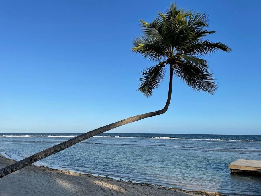 Aquarella Sunset Caribbean Beachfront Gataway *