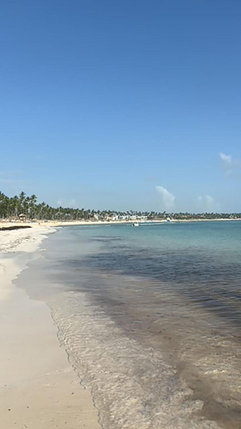 Pristine 4br Beachfront Getaway With Pool & Rooftop Apartment