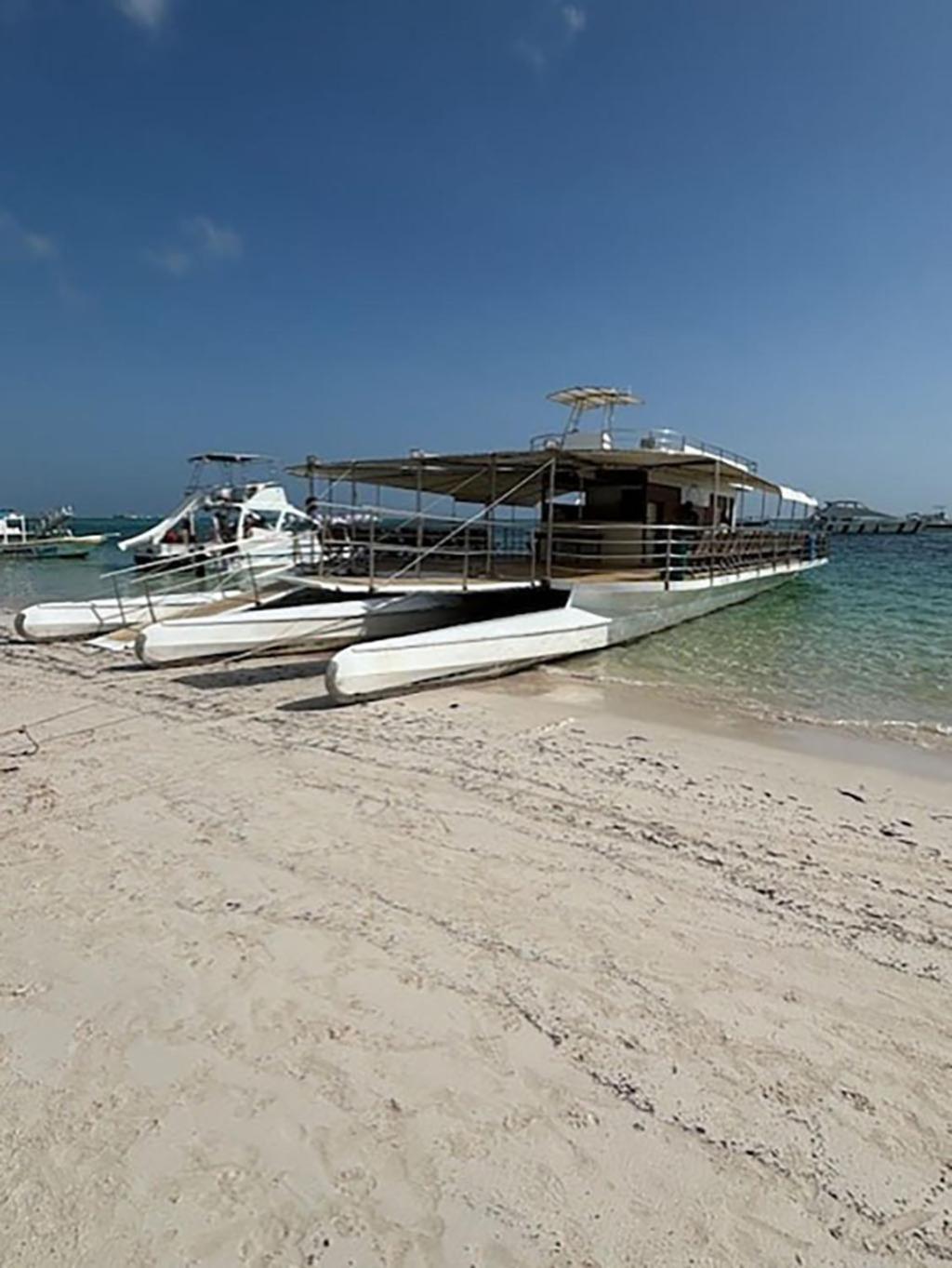 Pristine 4br Beachfront Getaway With Pool & Rooftop Apartment Punta Cana