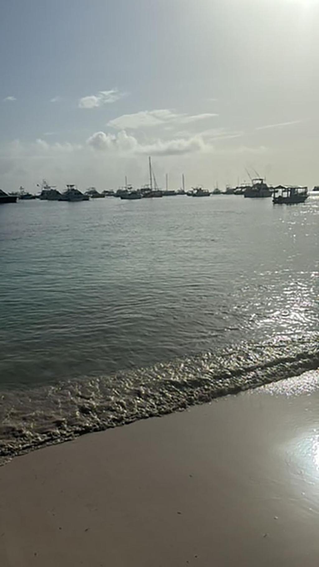 Pristine 4br Beachfront Getaway With Pool & Rooftop * Punta Cana
