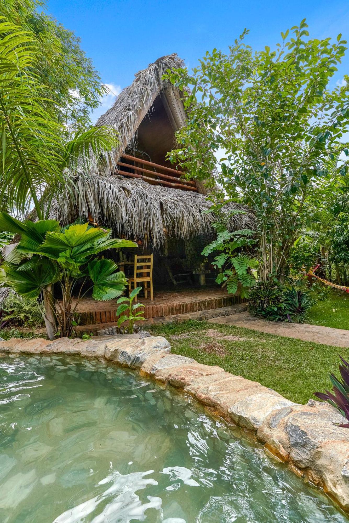 Bed & Breakfast Tropical & Restaurant-pizzeria