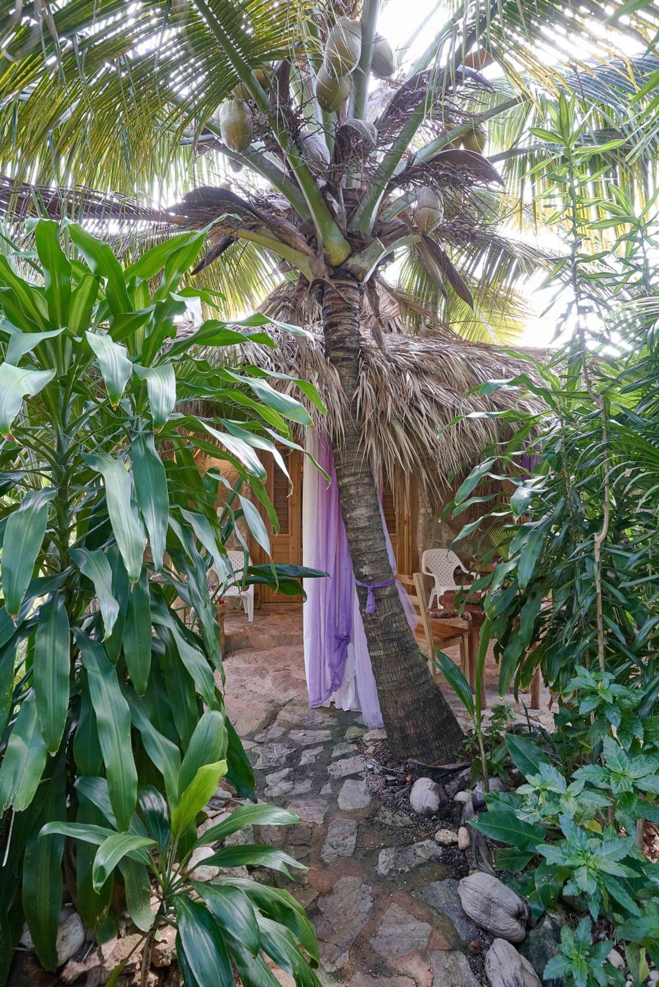 Bed & Breakfast Tropical & Restaurant-pizzeria Las Galeras