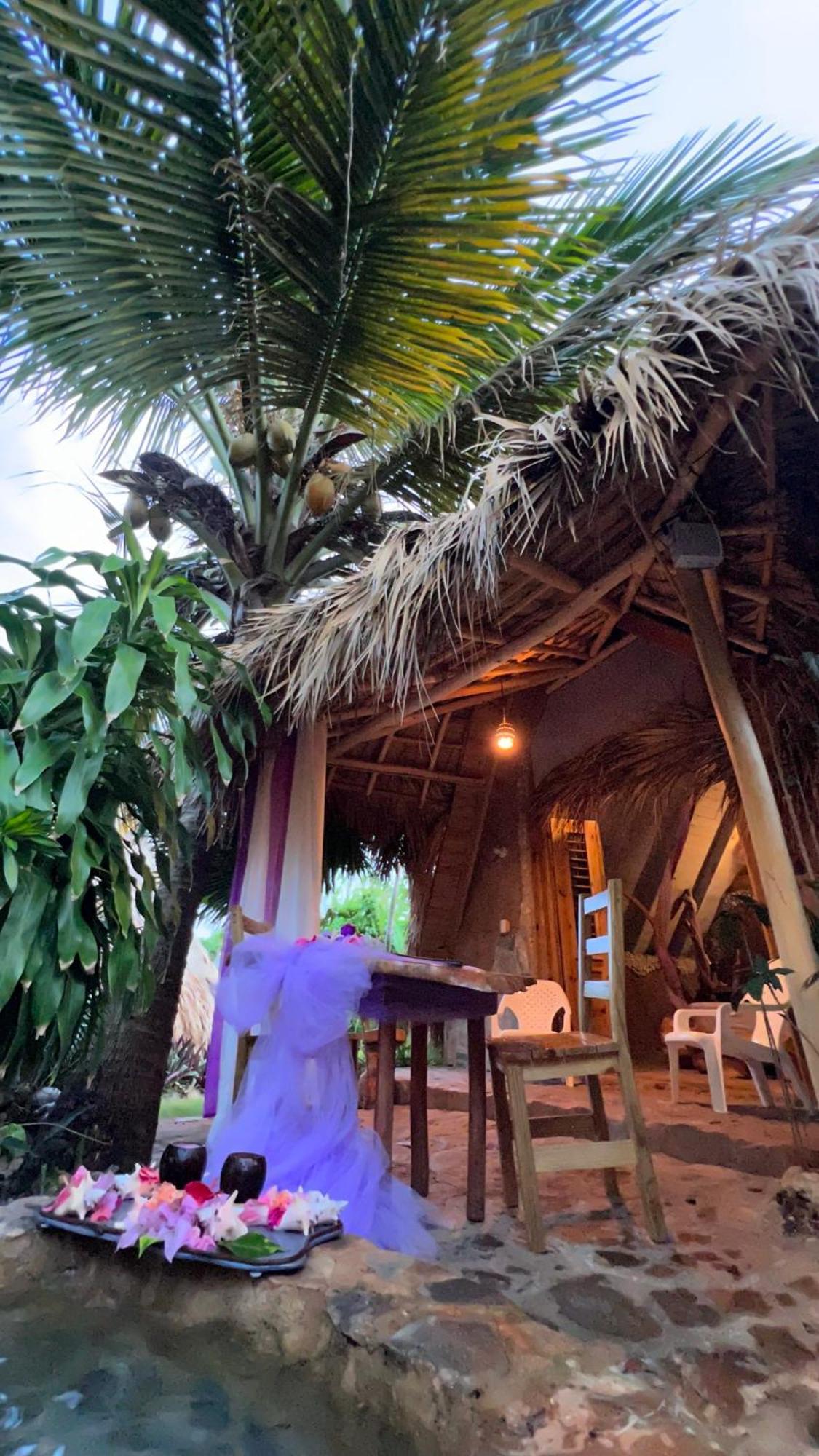 Tropical & Restaurant-pizzeria