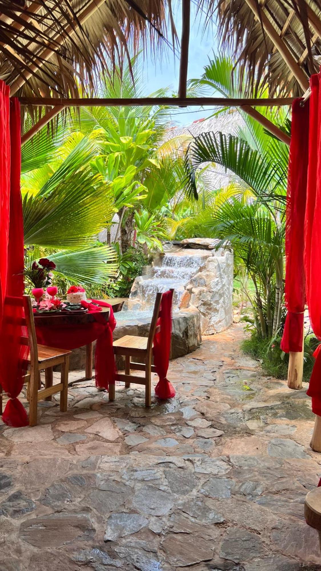 Tropical & Restaurant-pizzeria Bed & Breakfast