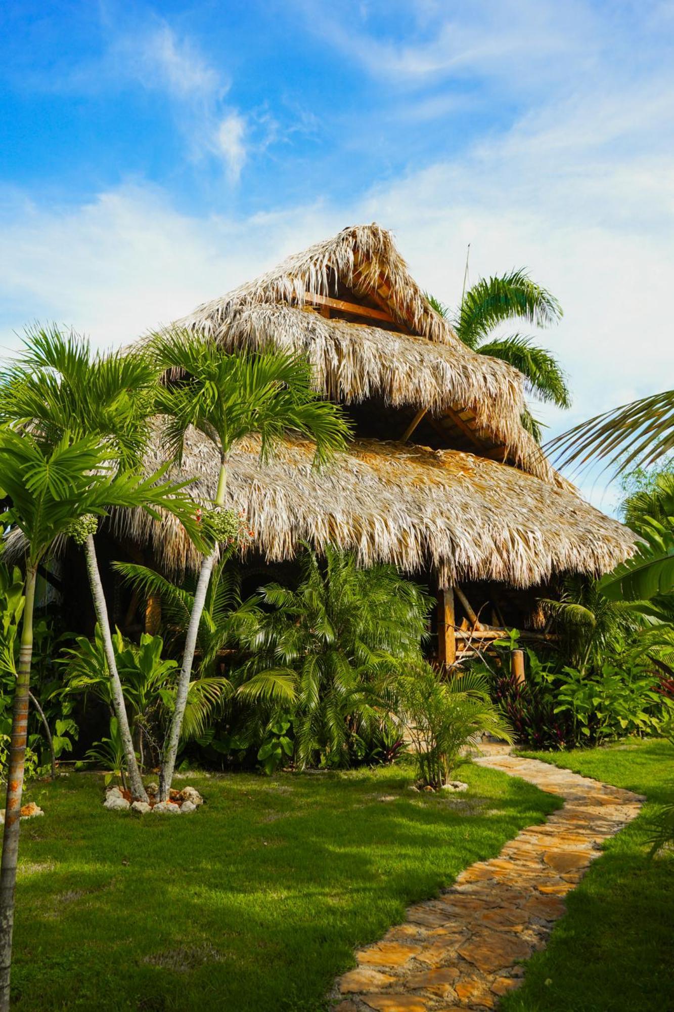 Bed & Breakfast Tropical & Restaurant-pizzeria