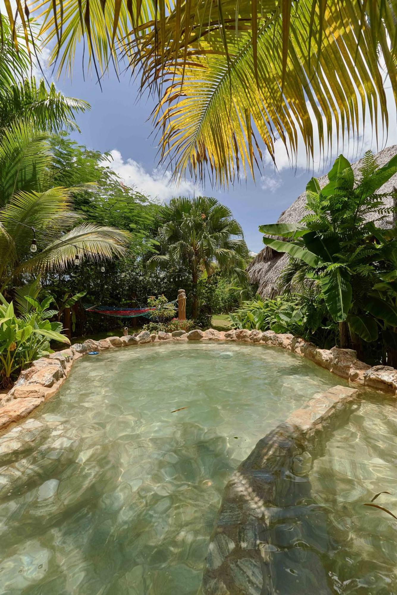 Tropical & Restaurant-pizzeria Bed & Breakfast 4*