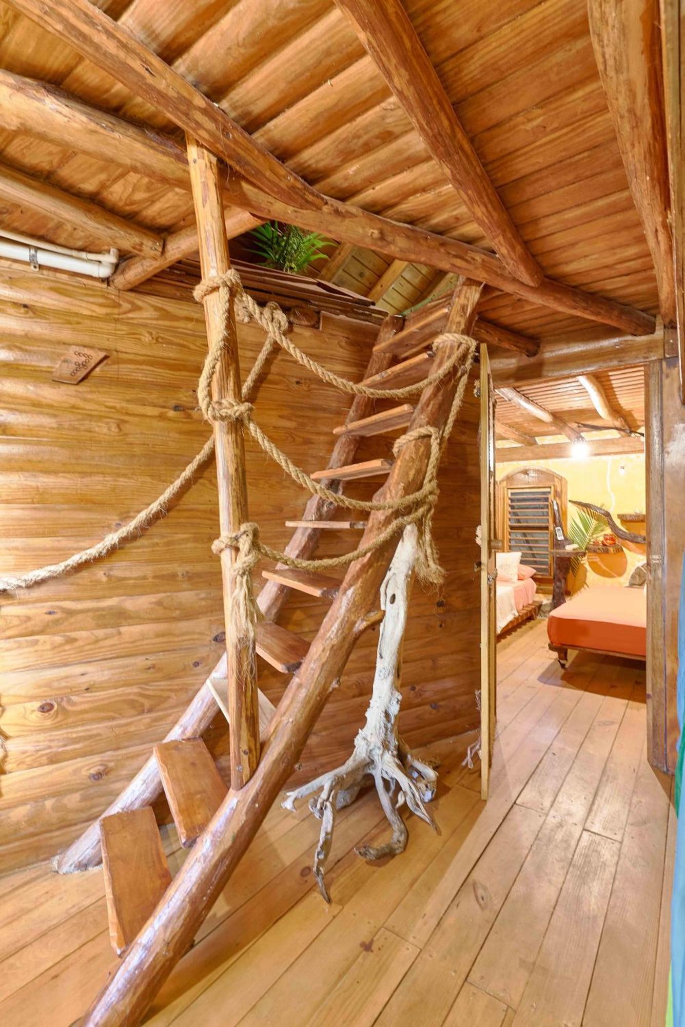 Tropical & Restaurant-pizzeria 4* Las Galeras