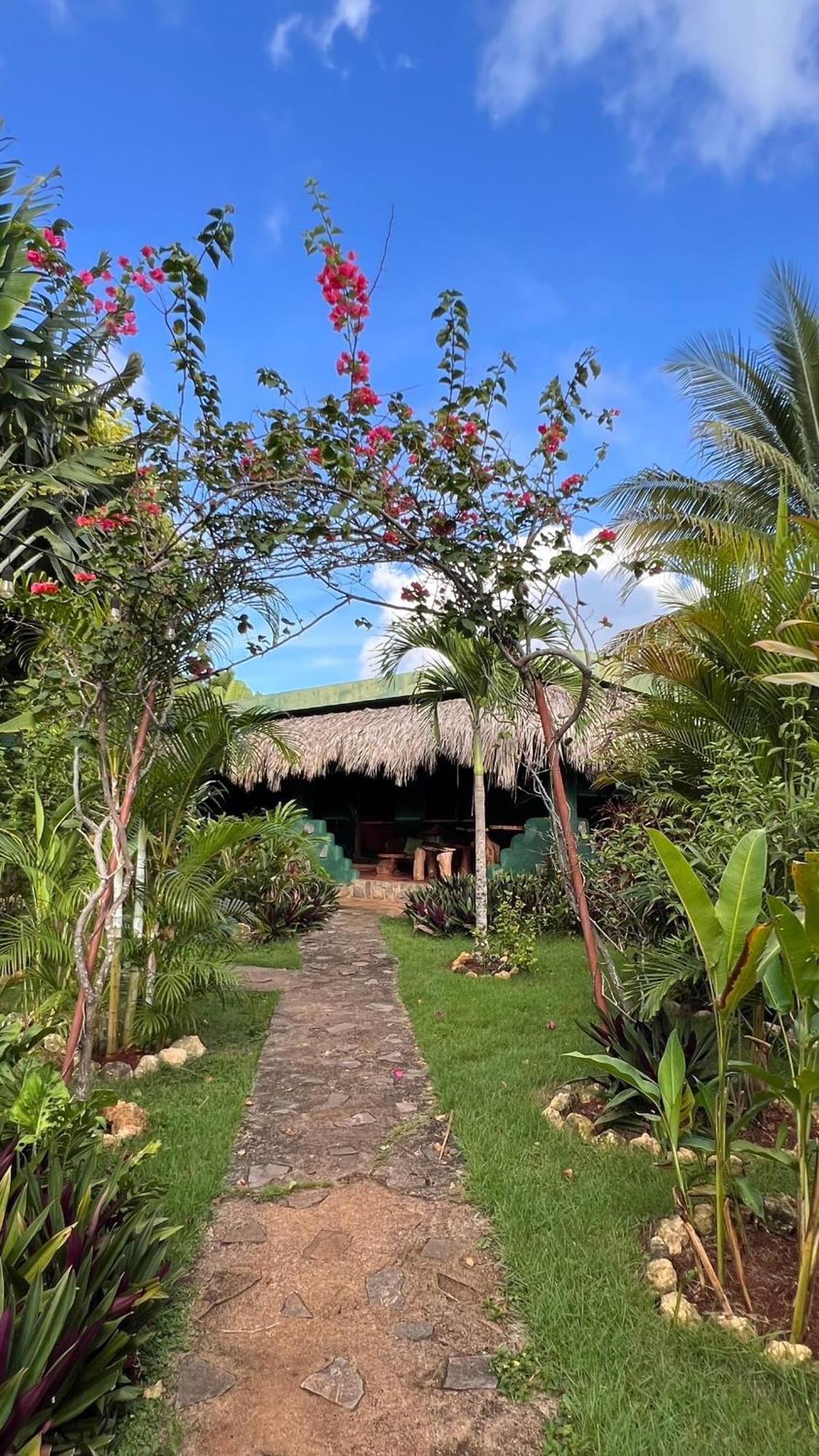 Tropical & Restaurant-pizzeria Bed & Breakfast Las Galeras