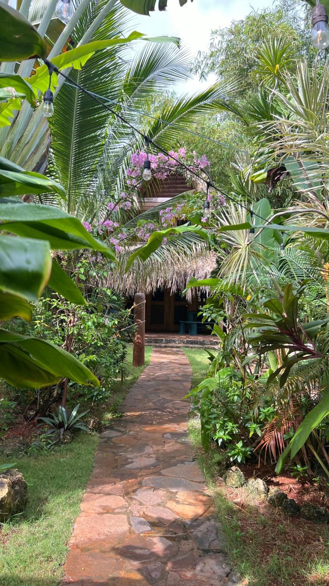 Tropical & Restaurant-pizzeria Bed & Breakfast