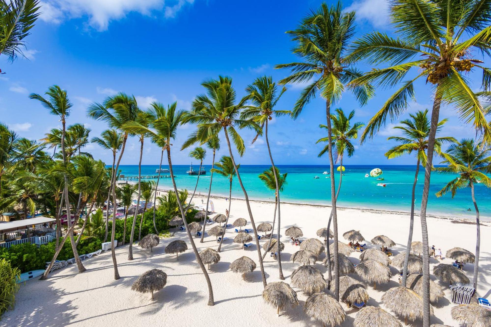 Apartment Dream Beachfront - 4-bedroom Penthouse With Rooftop Bbq & Ocean Views *