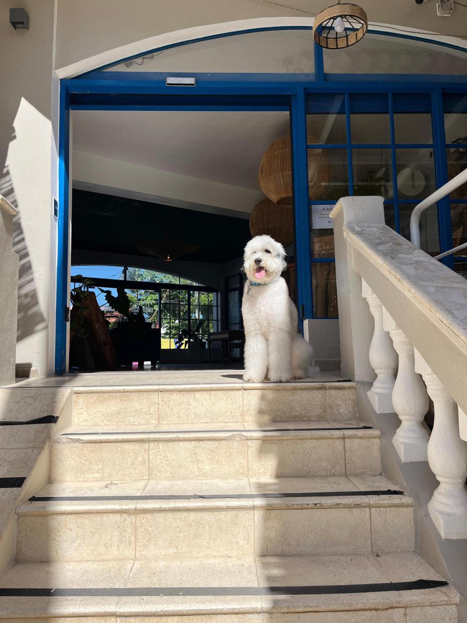 El Kaoba Hotel 2*