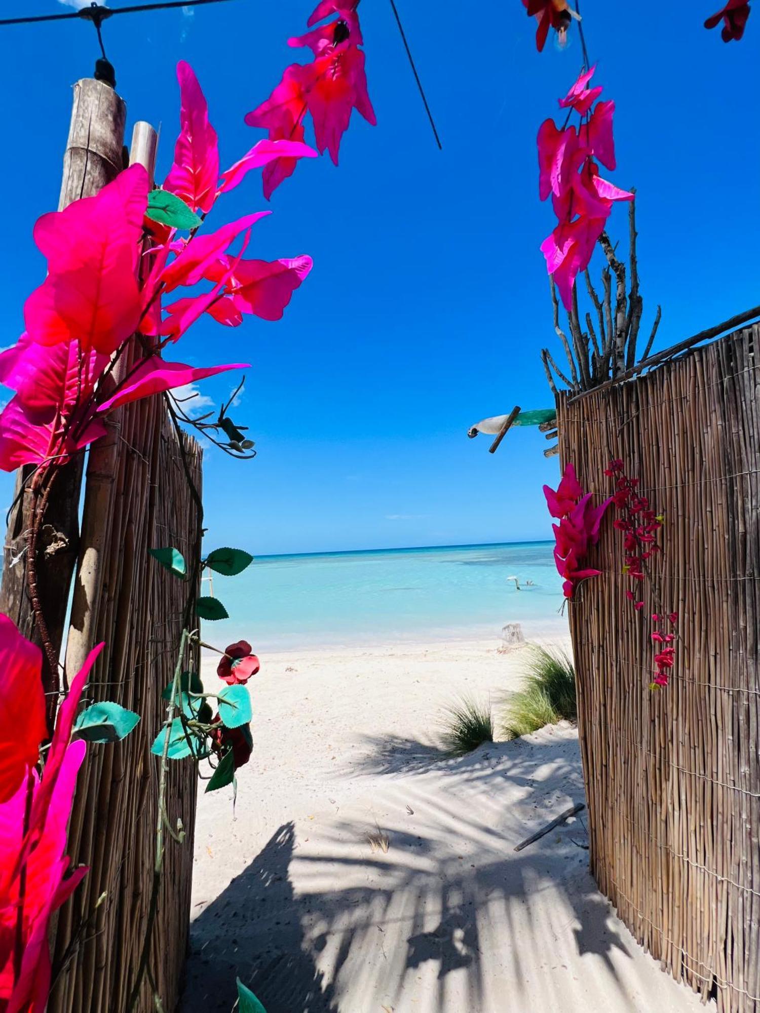 Bluemare Ecohotel Frente A La Playa Ensendada Punta Rucia