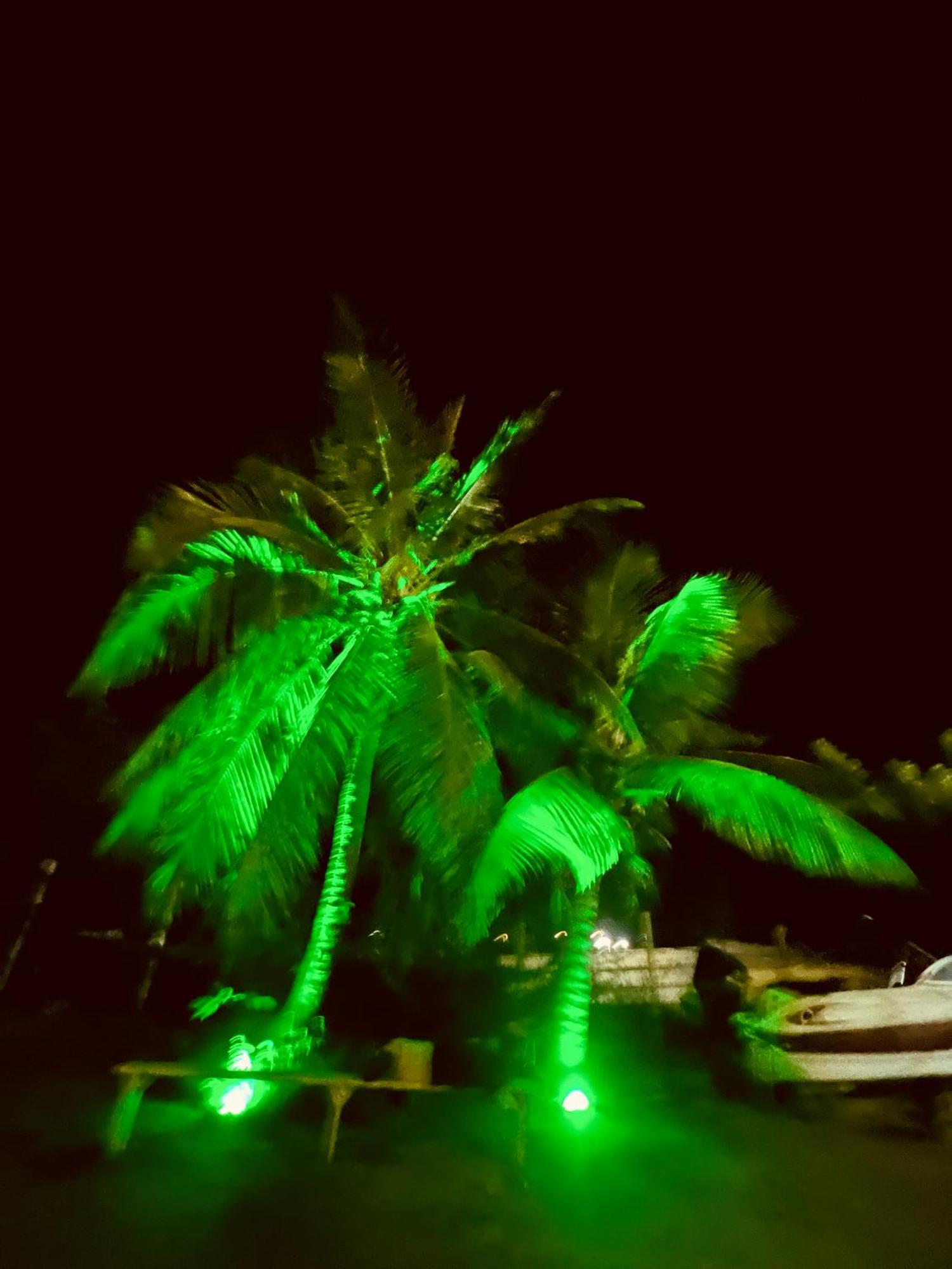Bluemare Ecohotel Frente A La Playa Ensendada Hotel