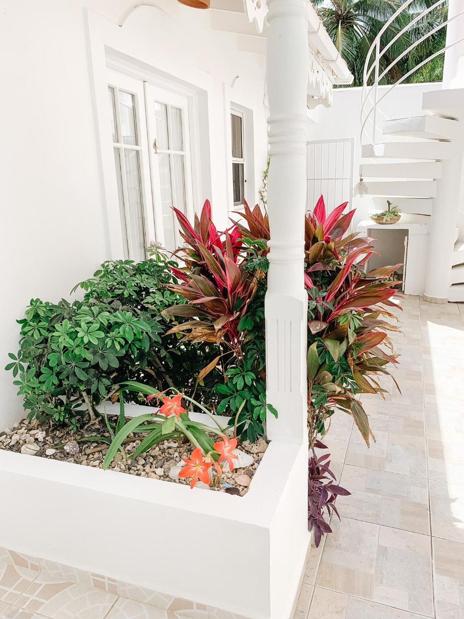 Brisas Doradas Beachfront Aparthotel Cabarete