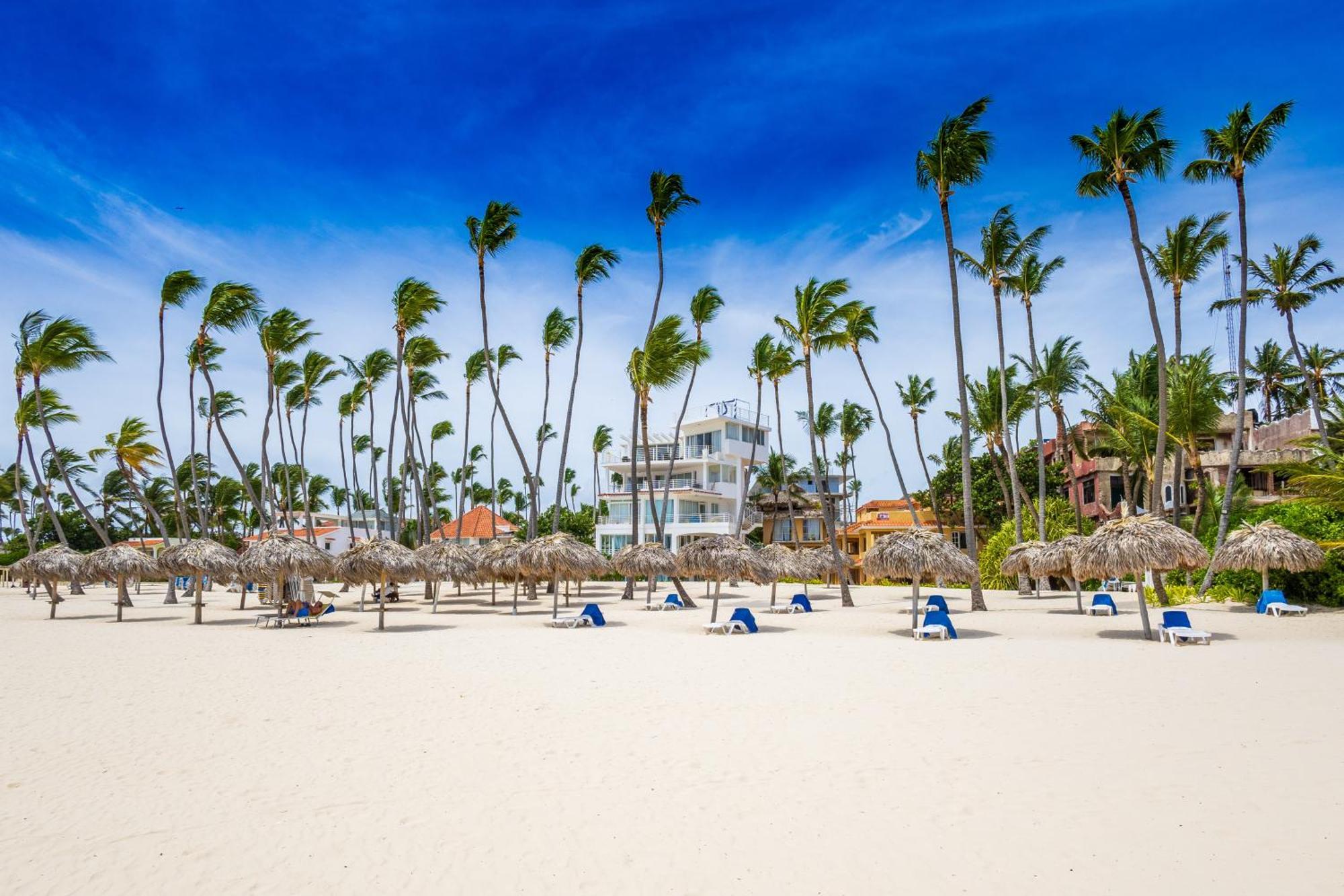 Prime Ocean View - 3-bedroom Getaway With Private Terrace On Bavaro Apartment *