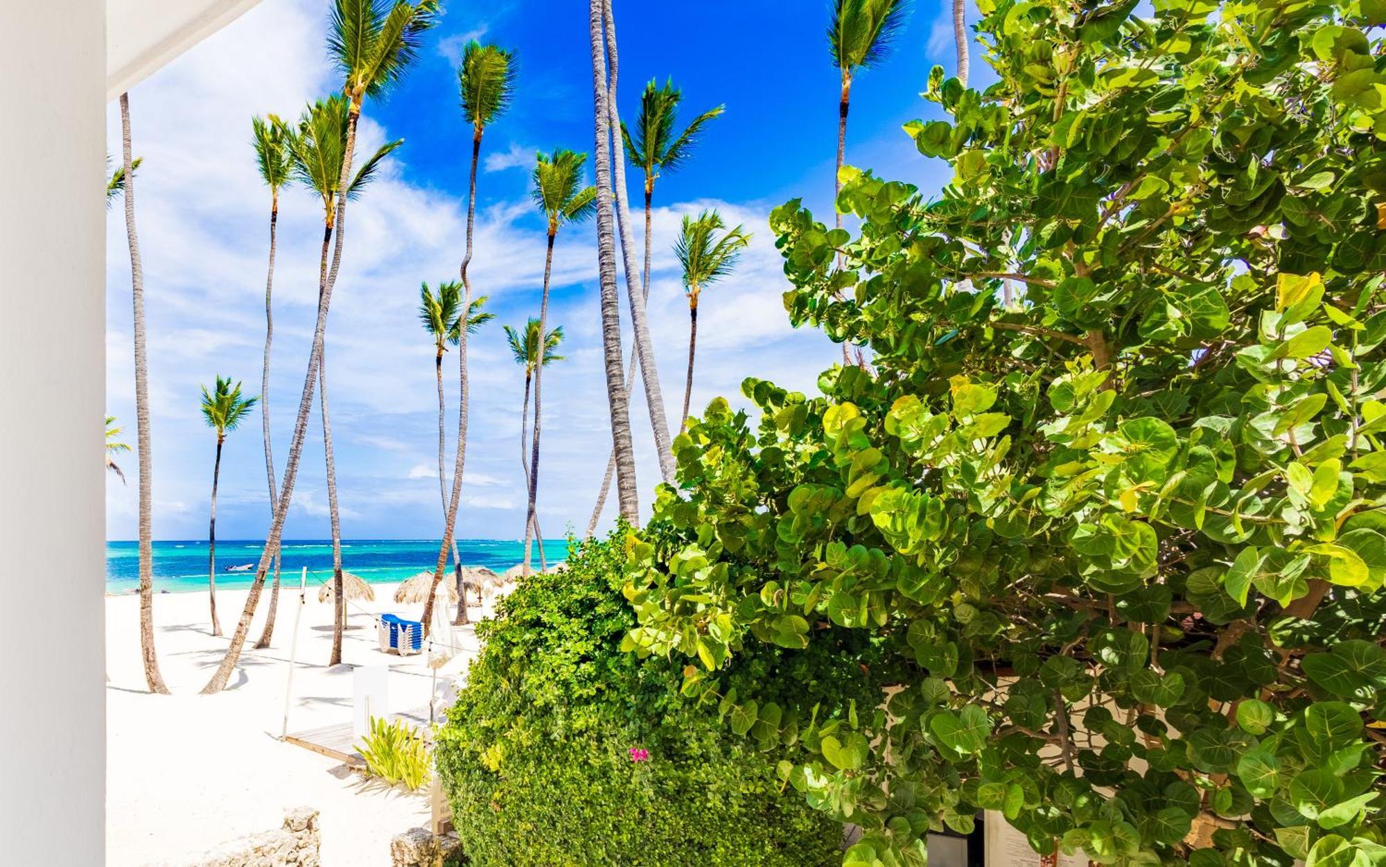 Prime Ocean View - 3-bedroom Getaway With Private Terrace On Bavaro Apartment Punta Cana