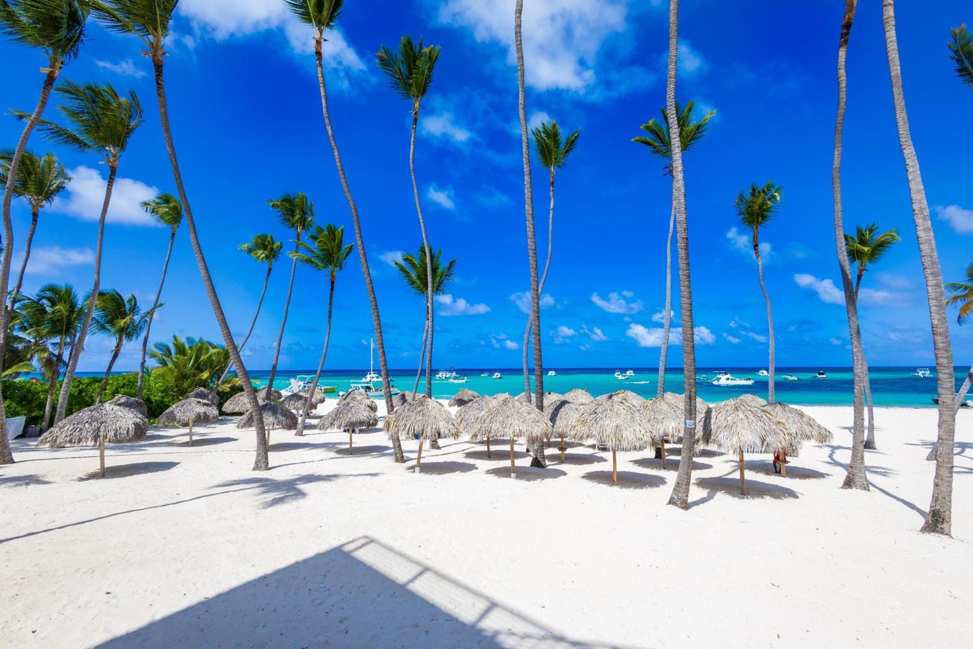 Apartment Prime Ocean View - 3-bedroom Getaway With Private Terrace On Bavaro *
