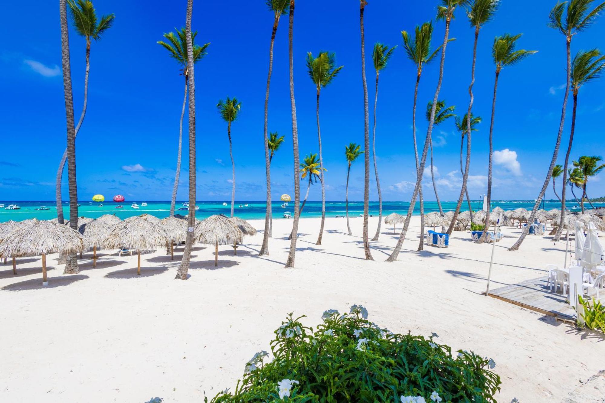 Prime Ocean View - 3-bedroom Getaway With Private Terrace On Bavaro Apartment Punta Cana