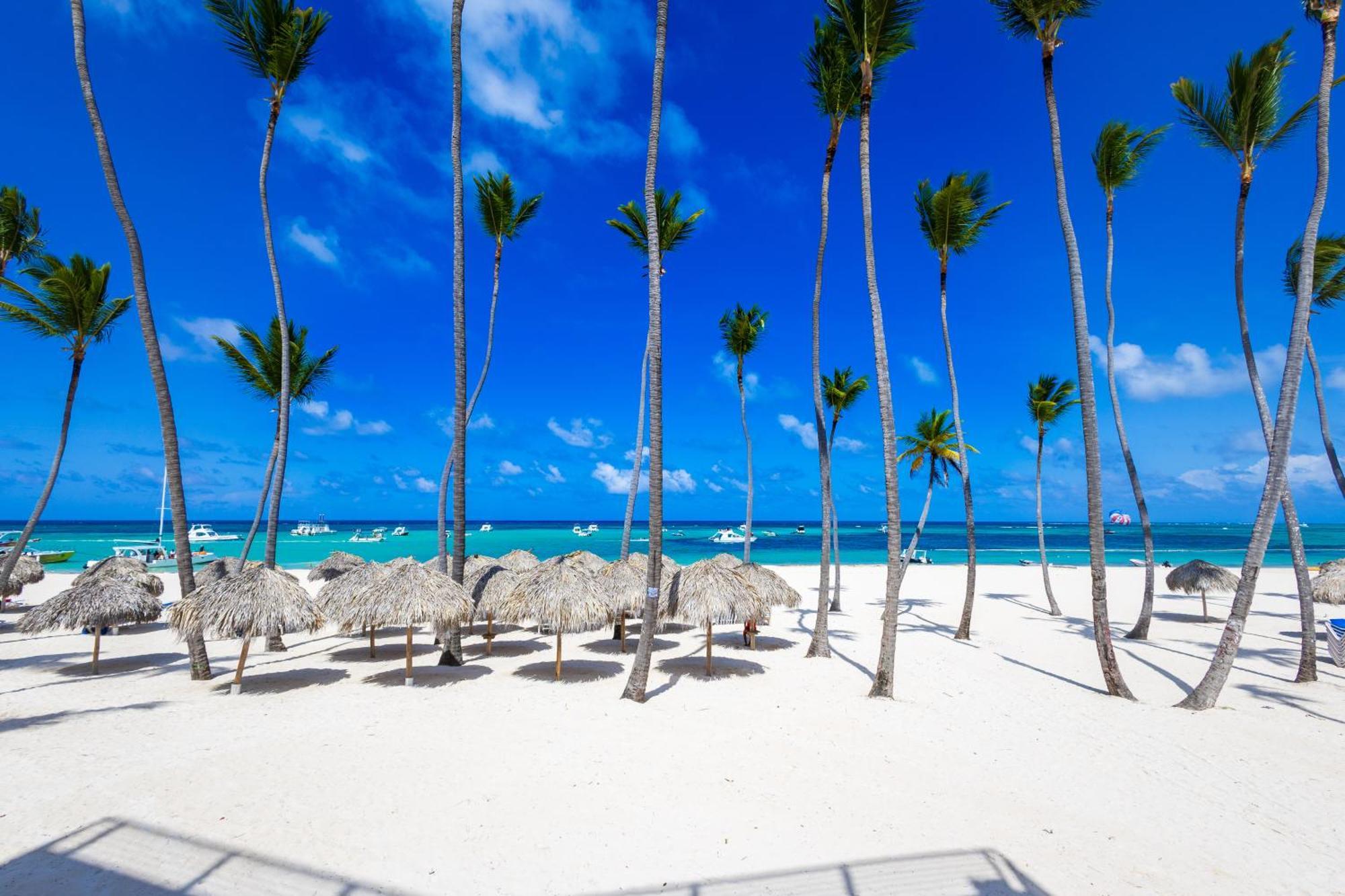 Apartment Prime Ocean View - 3-bedroom Getaway With Private Terrace On Bavaro *
