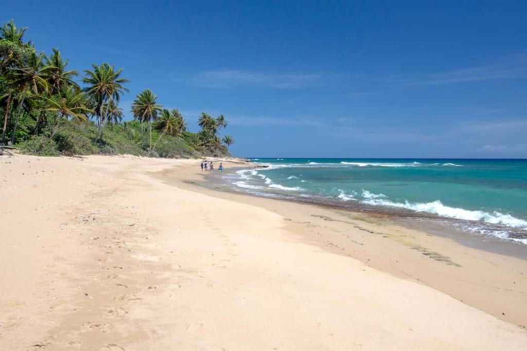 Apartment Stunning Ocean View Penthouse, Kite Cabarete
