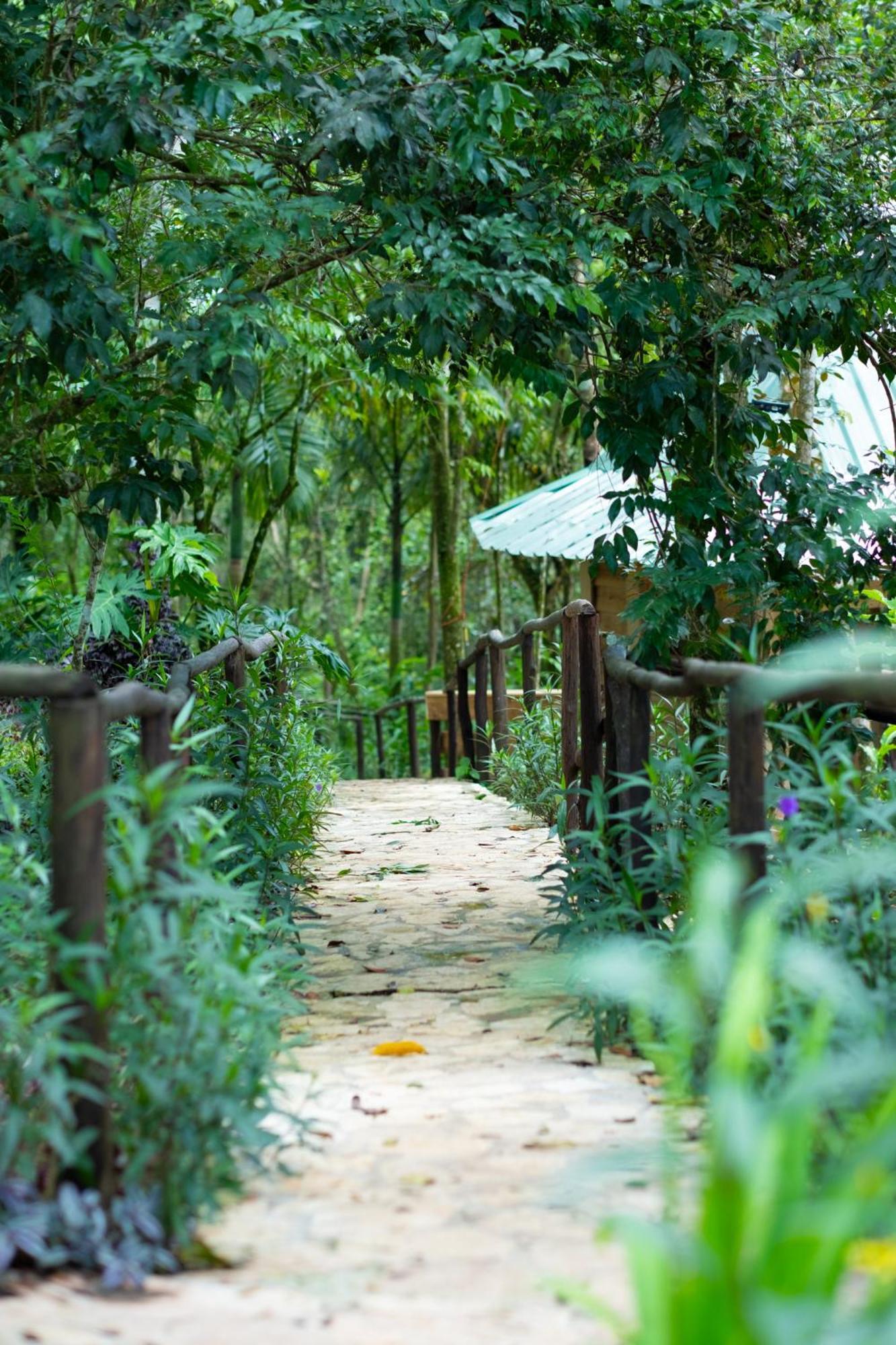 Villa The Grand Forest