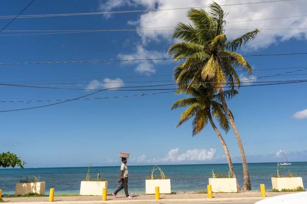 Renovated At The Close To Everything Apartment Las Terrenas