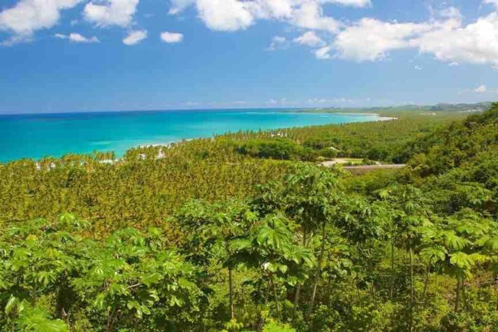 Renovated At The Close To Everything Apartment Las Terrenas