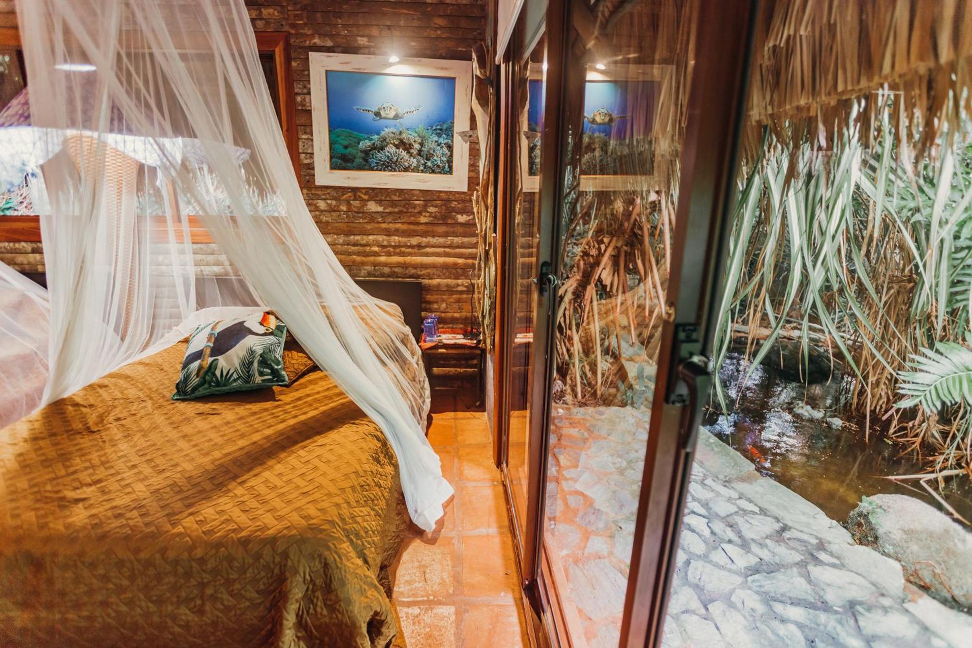 Casa El Paraiso, Eco Bed & Breakfast