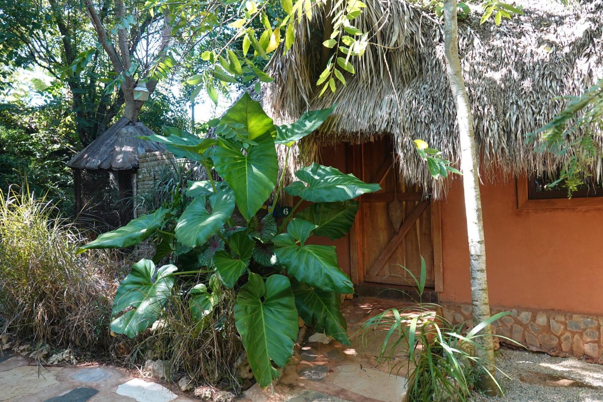 Casa El Paraiso, Eco Bed & Breakfast