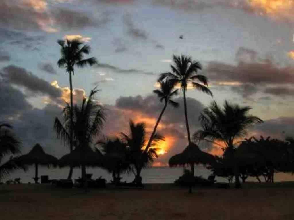 Lovely By The Caribbean