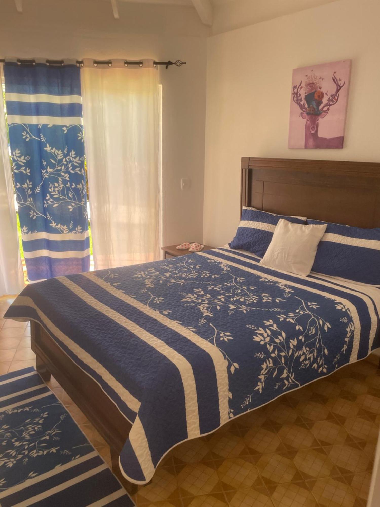 Hotel Palms Lounge Cabarete