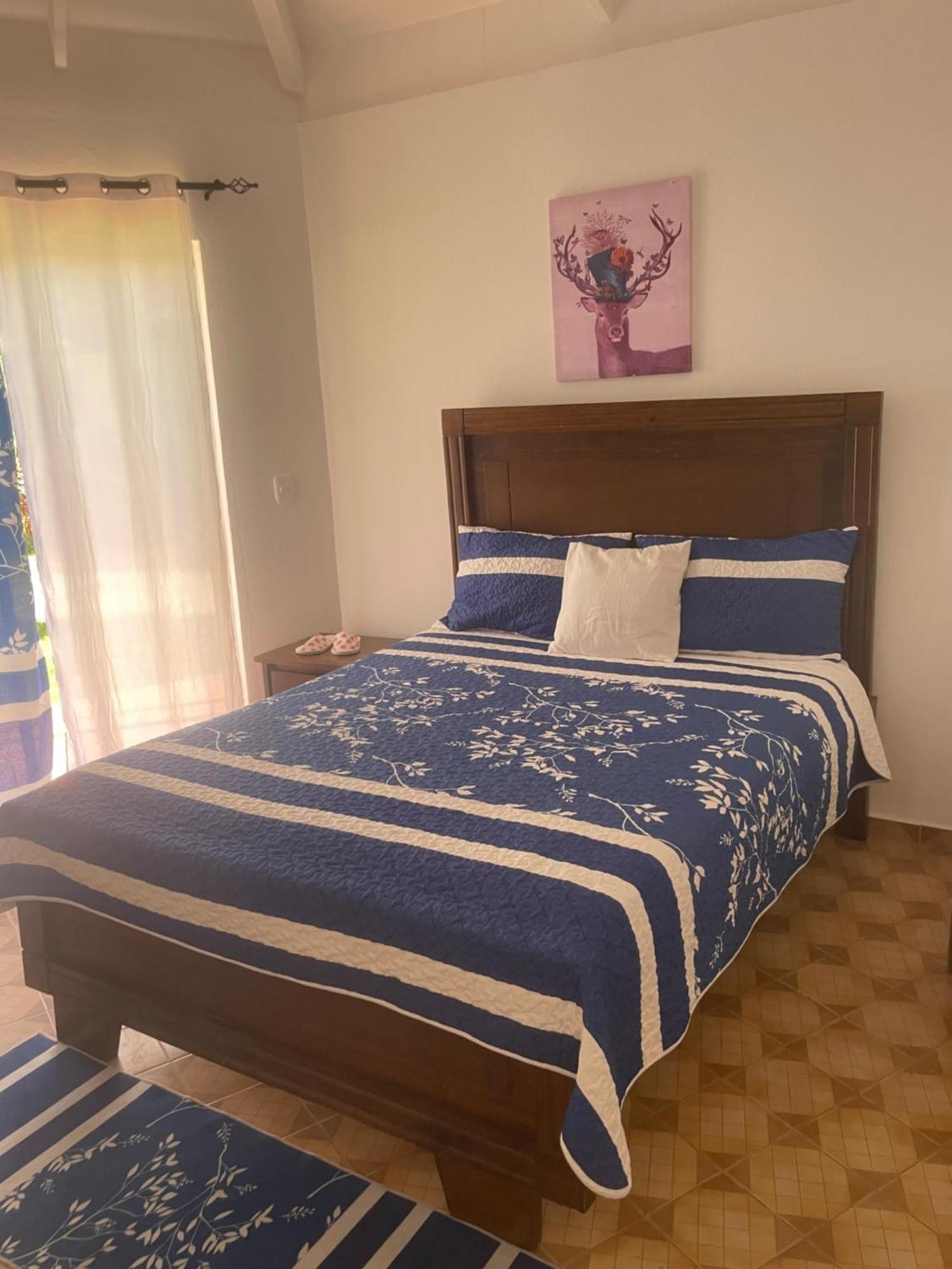 Palms Lounge Cabarete