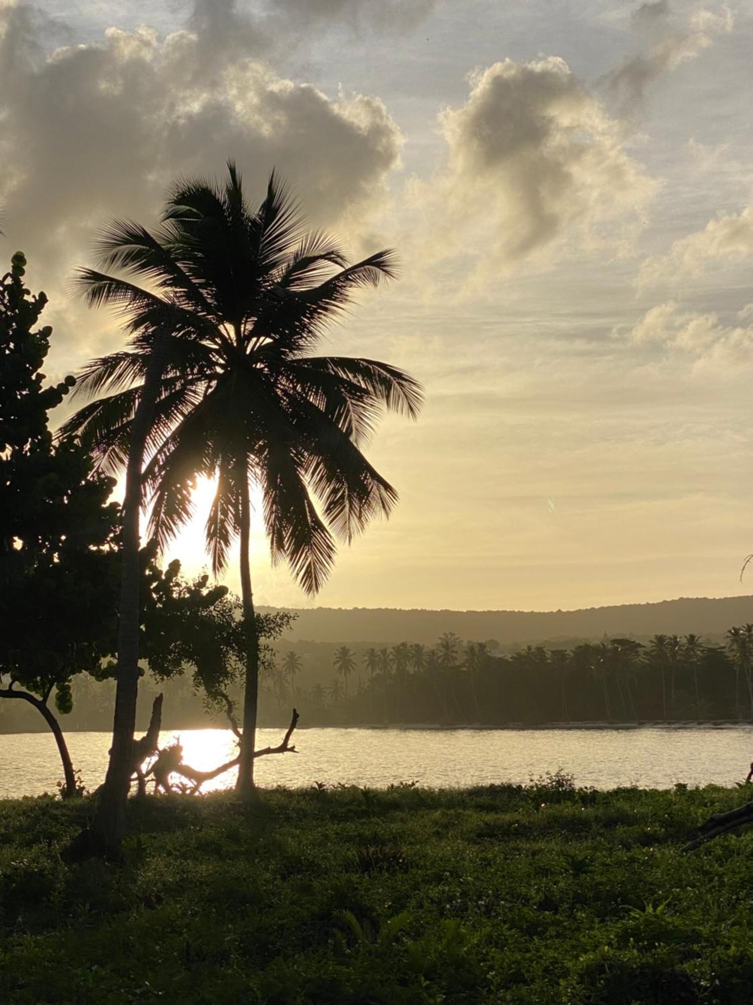 Yes Papa! Only 100m From The Beach! Hotel Las Galeras