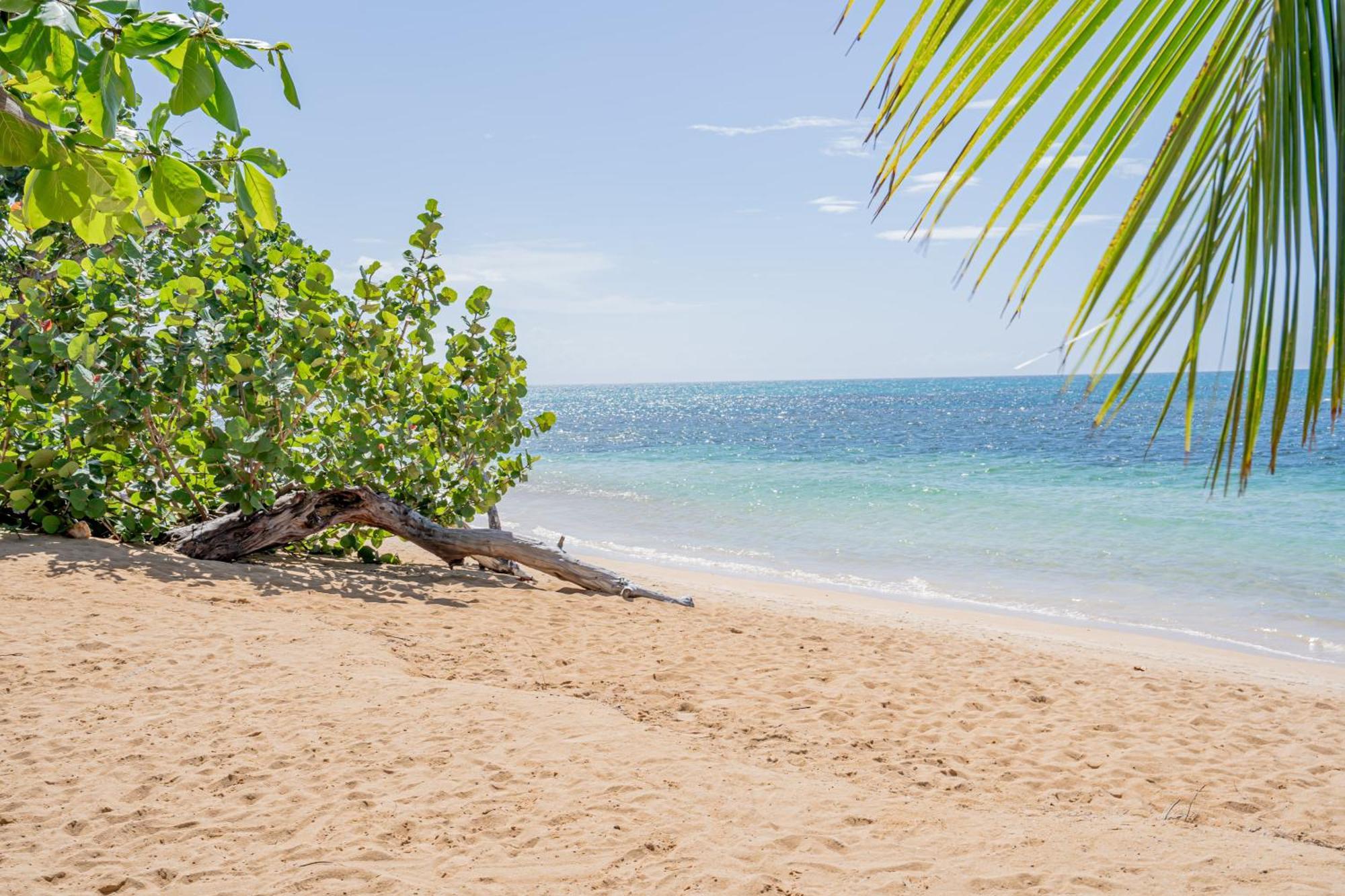 Xeliter Balcones Del Atlantico - Terrenas Las Terrenas