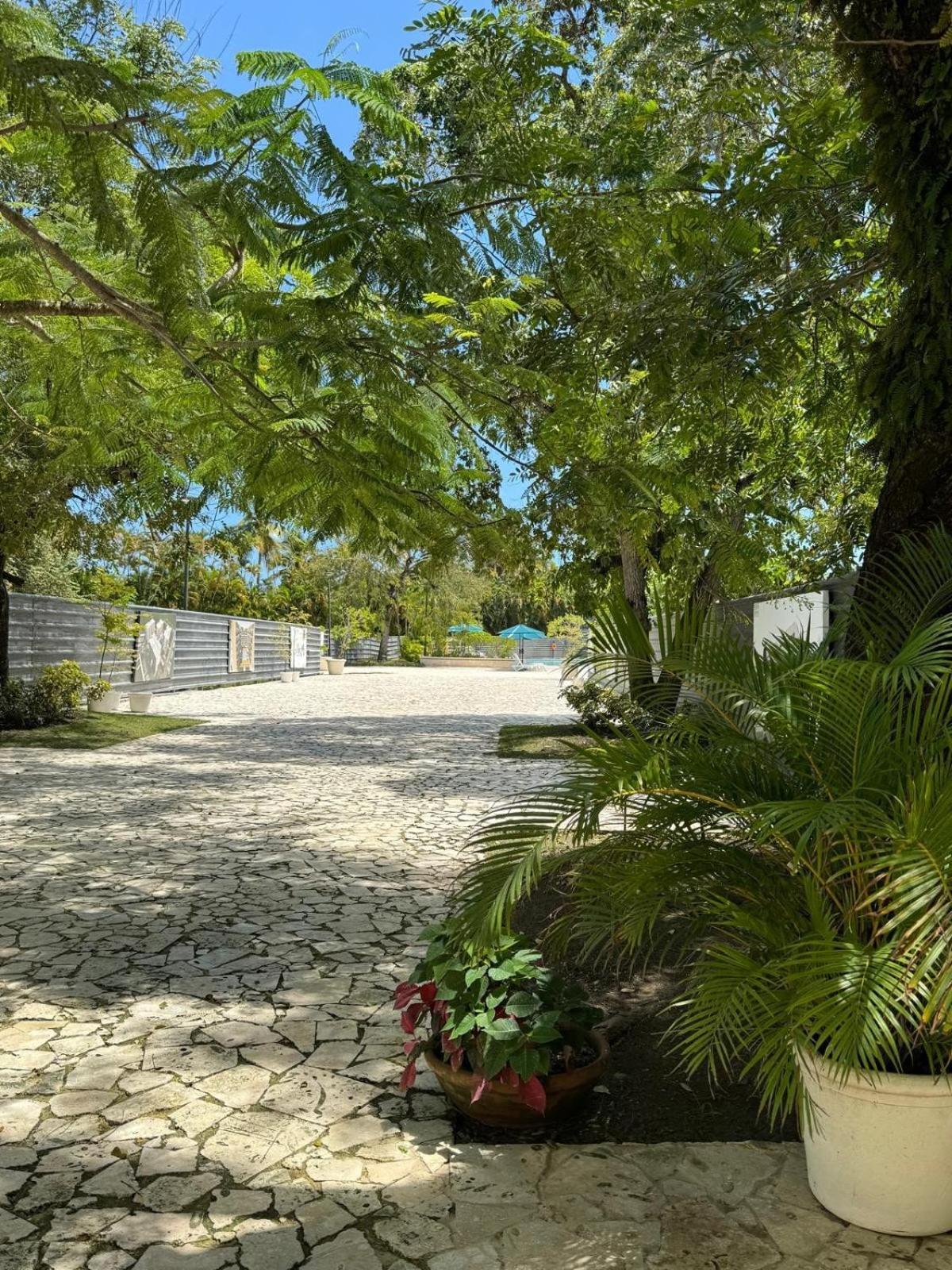 Pop Sol Plata Lux Golf Check Us Out Apartment *